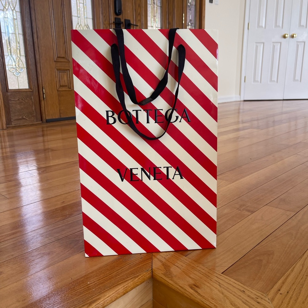 Brand new Bottega Veneta bag